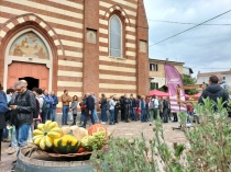 "Vendemmia in Arte" ottobre 2024 (foto di repertorio)